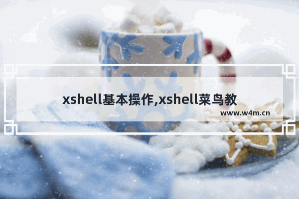 xshell基本操作,xshell菜鸟教程