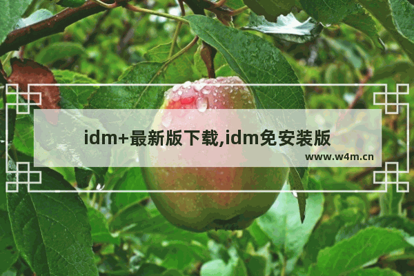 idm+最新版下载,idm免安装版