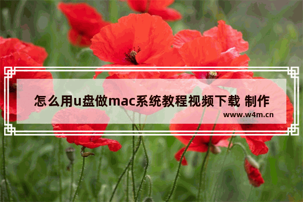 怎么用u盘做mac系统教程视频下载 制作mac系统u盘教程视频免费下载