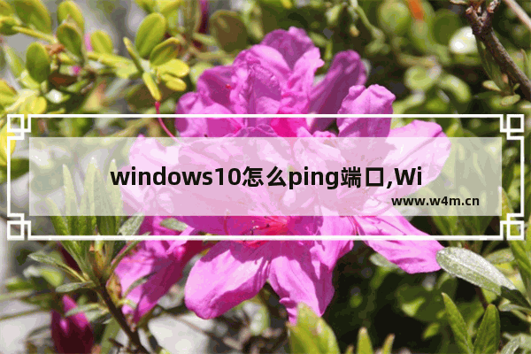 windows10怎么ping端口,Windows怎么ping端口