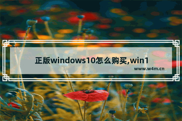 正版windows10怎么购买,win10正版购买