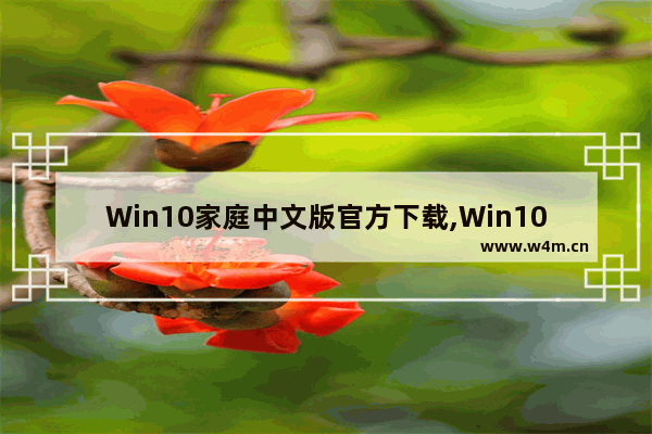 Win10家庭中文版官方下载,Win10家庭版下载