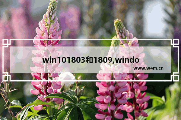 win101803和1809,windows10 1809版本