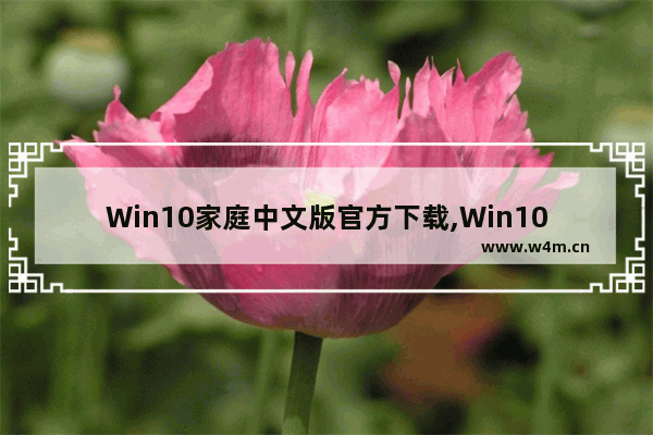 Win10家庭中文版官方下载,Win10家庭版下载