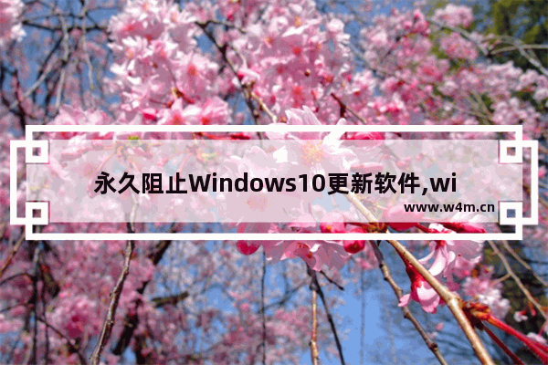 永久阻止Windows10更新软件,win10更新流氓软件