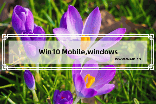 Win10 Mobile,windows 10 mobile手机