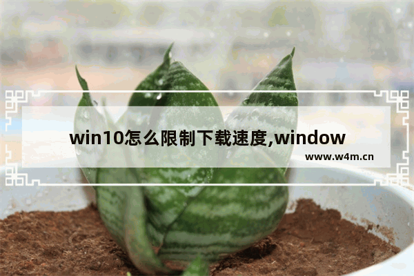 win10怎么限制下载速度,windows10提高下载速度