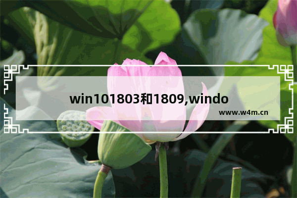 win101803和1809,windows10 1809版本