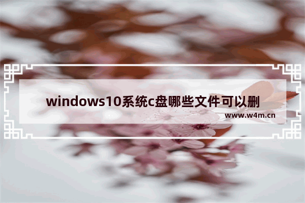 windows10系统c盘哪些文件可以删除,window10的c盘有哪些文件可以删除-