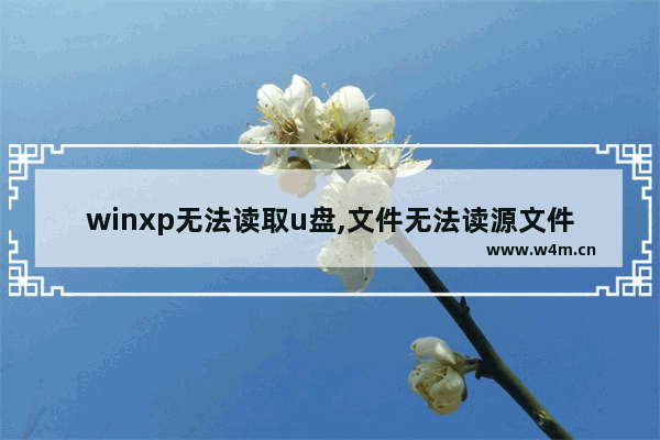 winxp无法读取u盘,文件无法读源文件或磁盘