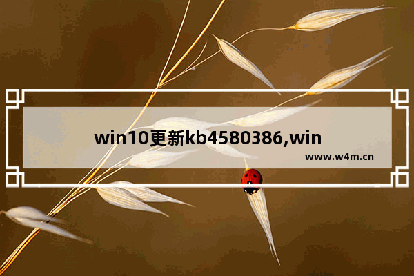 win10更新kb4580386,win10更新kb4601319_1