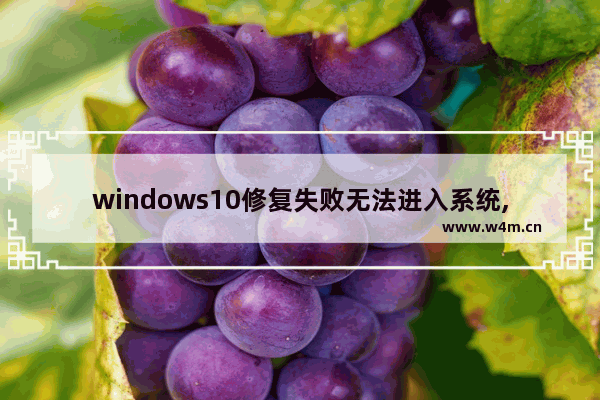 windows10修复失败无法进入系统,Windows10无法登录