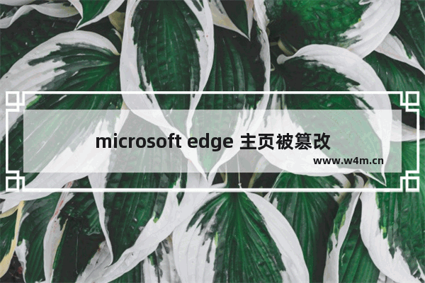 microsoft edge 主页被篡改怎么解决,edge浏览器主页被强制更改