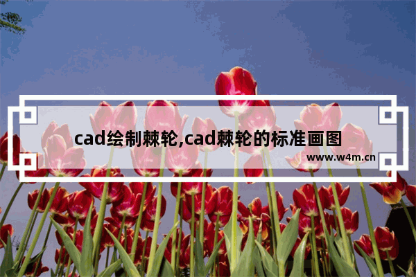 cad绘制棘轮,cad棘轮的标准画图