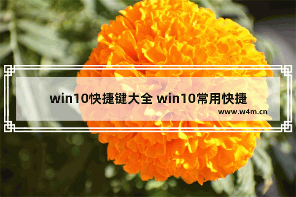 win10快捷键大全 win10常用快捷键,win10常用快捷键大全_1