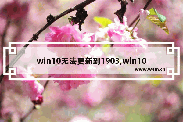 win10无法更新到1903,win101909要不要更新