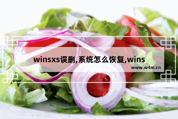 winsxs误删,系统怎么恢复,winsxs删除了怎么办