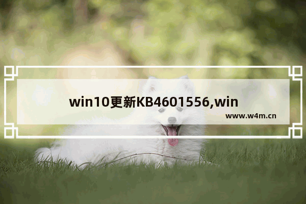 win10更新KB4601556,win10更新kb4601319