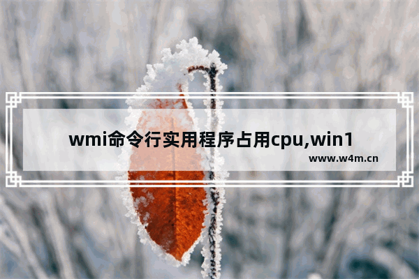 wmi命令行实用程序占用cpu,win10system占用cpu过高