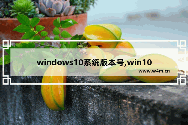 windows10系统版本号,win10显示你使用的不是最新版本