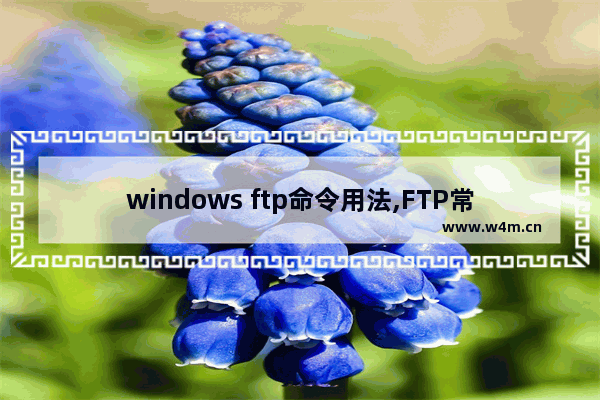 windows ftp命令用法,FTP常用命令