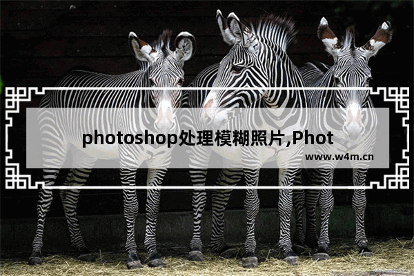 photoshop处理模糊照片,Photoshop模糊