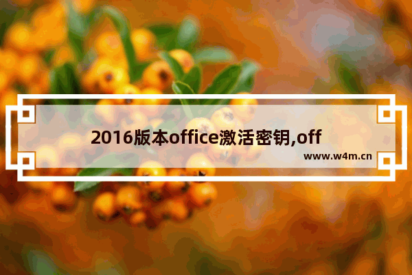 2016版本office激活密钥,office2016标准版激活密钥最新