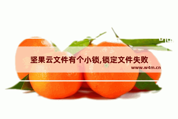 坚果云文件有个小锁,锁定文件失败