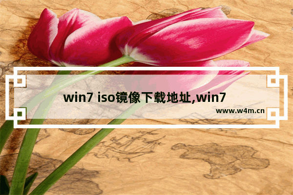 win7 iso镜像下载地址,win7 iso镜像文件下载