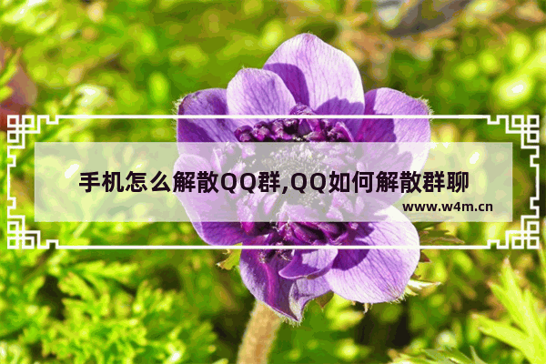 手机怎么解散QQ群,QQ如何解散群聊