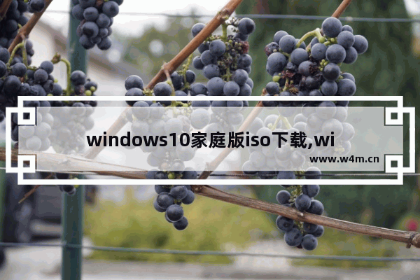 windows10家庭版iso下载,windows10家庭中文版版本号1903