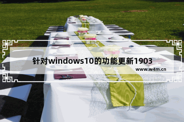 针对windows10的功能更新1903,win10 1903更新内容_1