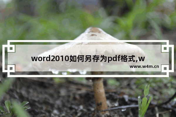 word2010如何另存为pdf格式,word2010可以直接保存为pdf吗