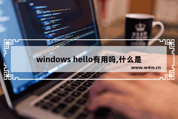 windows hello有用吗,什么是windows hello