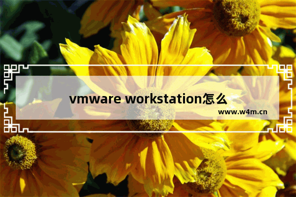 vmware workstation怎么安装win10,如何在vmware安装win11