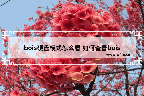 bois硬盘模式怎么看 如何查看bois硬盘模式