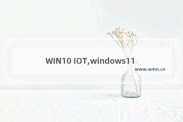 WIN10 IOT,windows11 iot