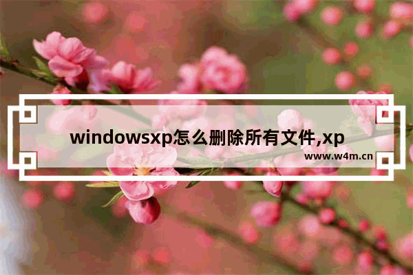 windowsxp怎么删除所有文件,xp系统删除所有文件