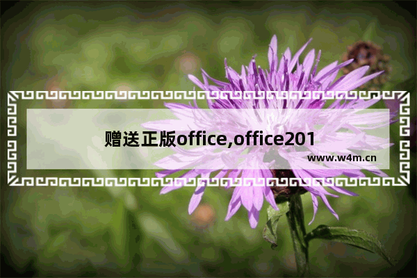 赠送正版office,office2016永久激活版