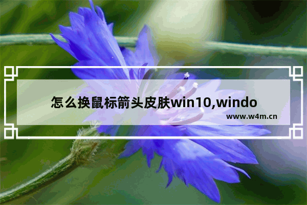 怎么换鼠标箭头皮肤win10,windows怎么改鼠标样式