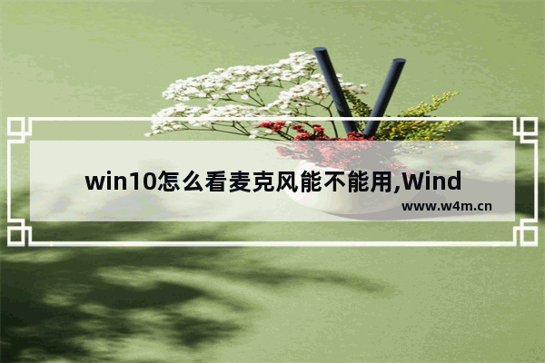 win10怎么看麦克风能不能用,Windows10怎么打开麦克风