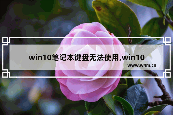 win10笔记本键盘无法使用,win10功能键不能用