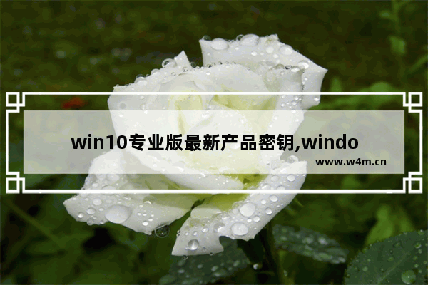 win10专业版最新产品密钥,window10旗舰版密钥