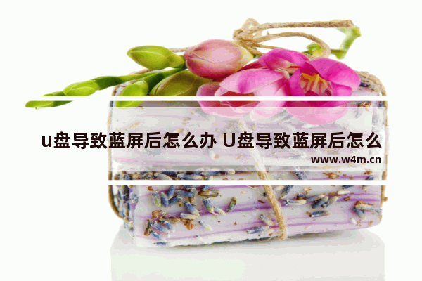 u盘导致蓝屏后怎么办 U盘导致蓝屏后怎么处理