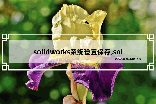 solidworks系统设置保存,solidworks保存后恢复