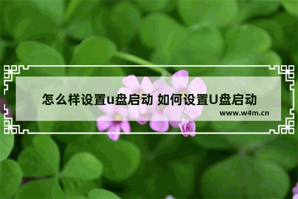 怎么样设置u盘启动 如何设置U盘启动