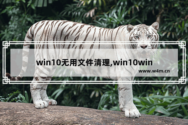 win10无用文件清理,win10windows文件夹清理