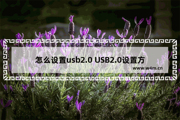 怎么设置usb2.0 USB2.0设置方法