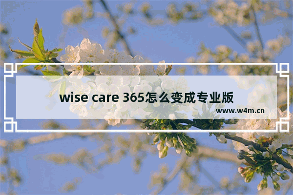 wise care 365怎么变成专业版,wisecare365永久激活_1