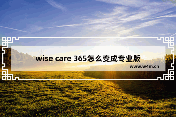 wise care 365怎么变成专业版,wisecare365永久激活_1